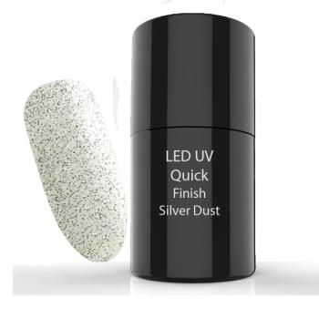 UV/LED  Quick Finish Gel Silver Dust 5 ml