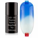 LED UV Thermo Hybrid Nagellack T02 Delicious 6ml